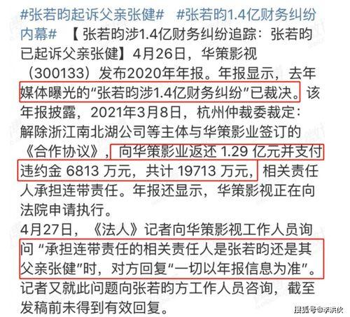 起诉老爸（国语版）,一场家庭纷争的法庭对决